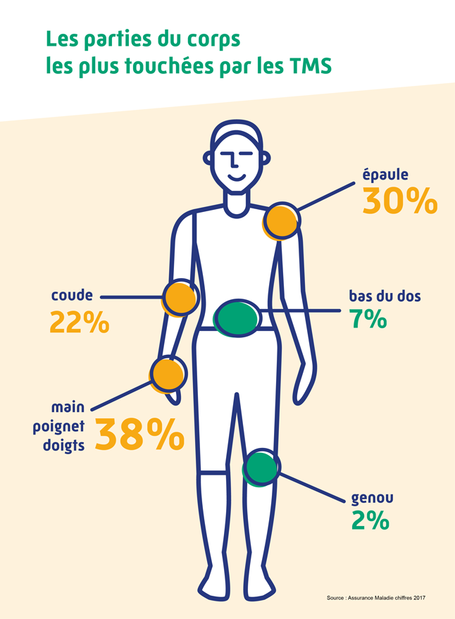 Statistiques des TMS