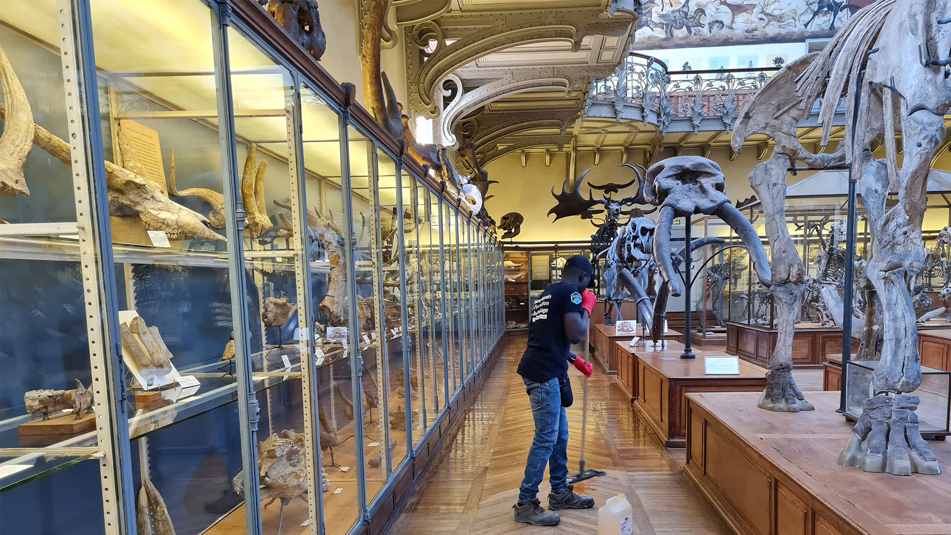 agent nettoyage école ESITC